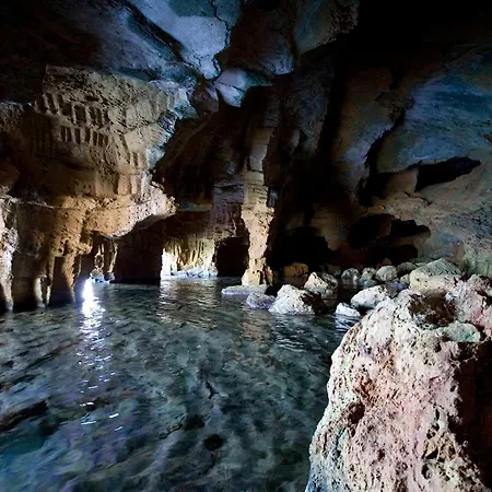 Girasol By Family Homes